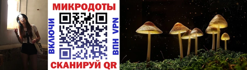 купить наркотик  Энем  ОМГ ОМГ рабочий сайт  Галлюциногенные грибы Cubensis 
